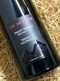 Ca’ Montini Single Vineyard Pinot Grigio Terre Di Valfredda Trentino